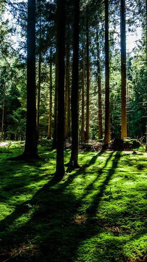 17cgcg吃瓜官网黑料爆料截图3