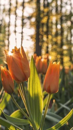 娱乐圈黑料截图3