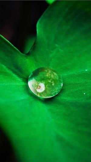 51吃瓜网最新地址截图5