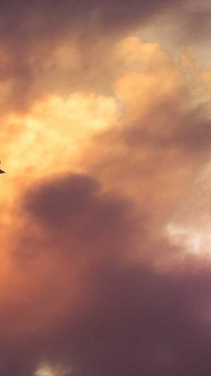 陈凯歌吃瓜爆料截图2