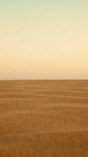 哈密瓜香蕉能一起吃吗截图1