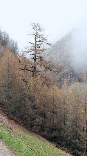 黑料吃瓜网大全截图3