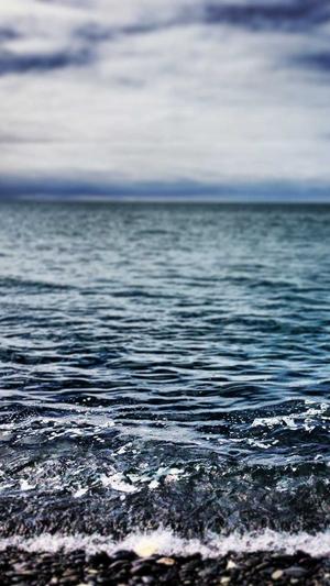 菠萝赛东黑料截图3