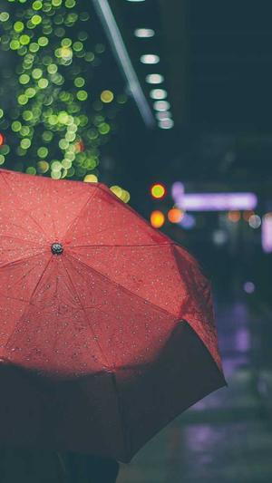 章若楠黑料截图4