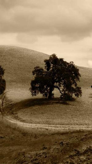 首页一黑料社区截图5