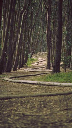 黑料不打烊直达导航截图3