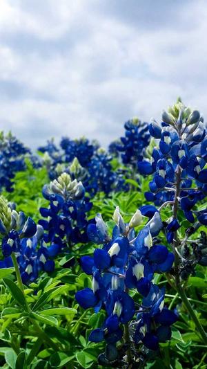 吃瓜网在线截图3