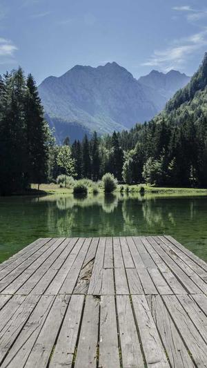 怀孕可以吃凉瓜吗截图2