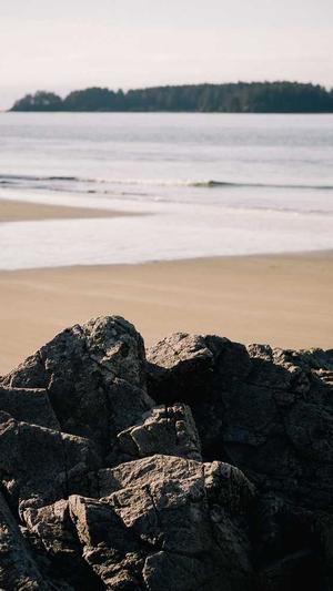 邓为家庭背景及黑料截图3