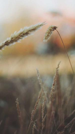 91黑料吃瓜截图4