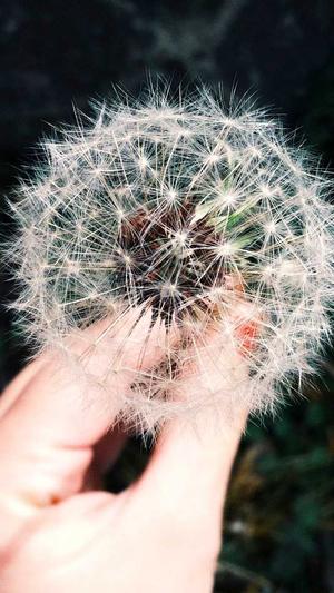 黑料网怎么看截图2