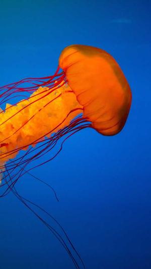 黑料吃瓜网.su永久有效截图3