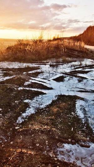 吊瓜怎么吃减肥截图3