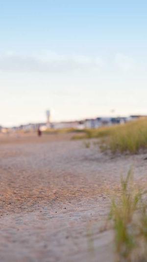 哈密瓜干怎么吃截图1