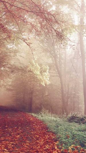 hanser黑料太多截图1