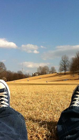 吃瓜中什么意思截图4