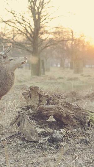 范丞丞黑料截图5