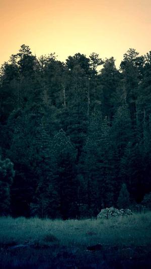 宋亚轩黑料截图4