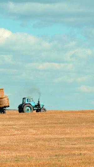 黑料不打烊地址链接截图2