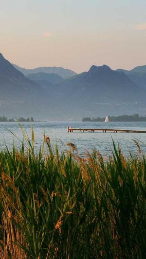 吃瓜黑料网站截图5