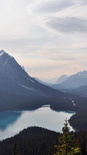 弗手瓜怎么做着吃截图5