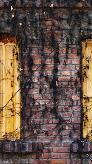 51吃瓜网最新网址截图3