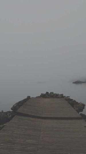 章若楠黑料截图1