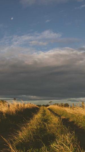 吃瓜曝光黑料不打烊截图2