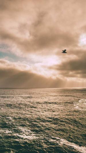 瓜哥带你吃瓜截图1