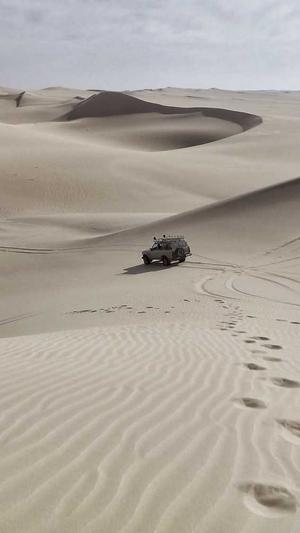 黑料不打烊网址更新app截图4