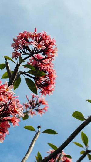 男明星黑料截图2