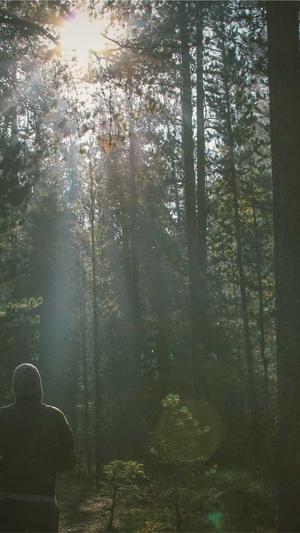 八月炸瓜怎么吃截图1