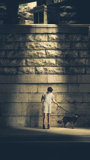 哈密瓜咋吃截图2